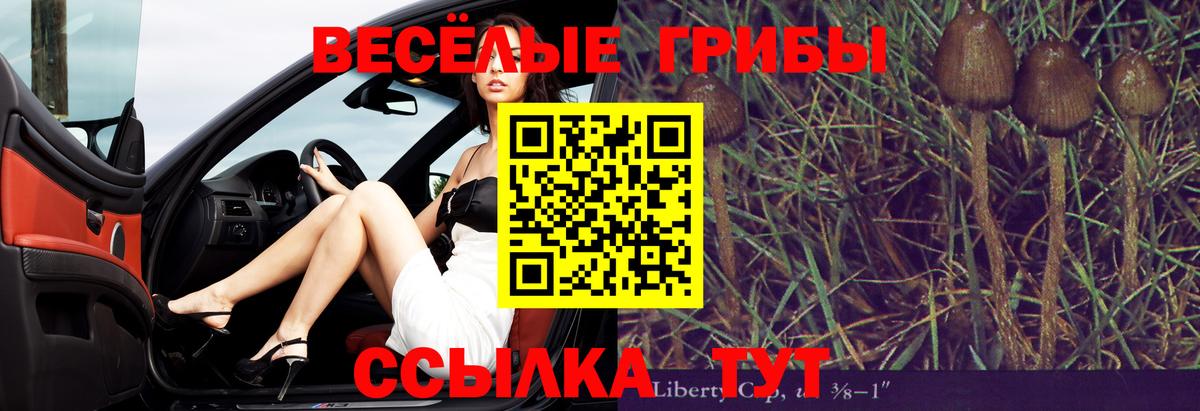 Галлюциногенные грибы Cubensis Людиново