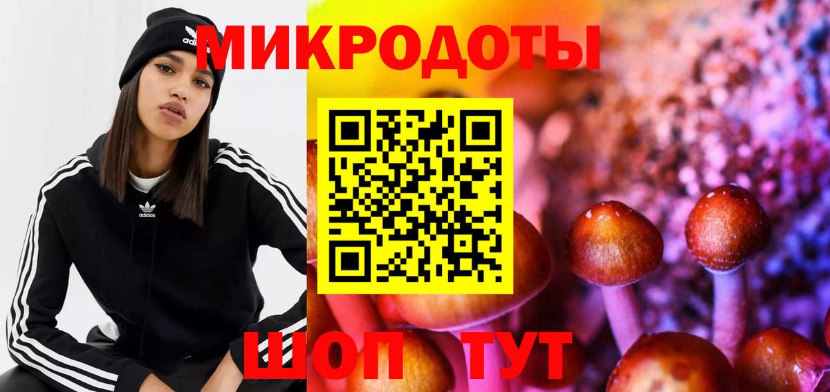Галлюциногенные грибы MAGIC MUSHROOMS  магазин продажи   Людиново  Вход с VPN 